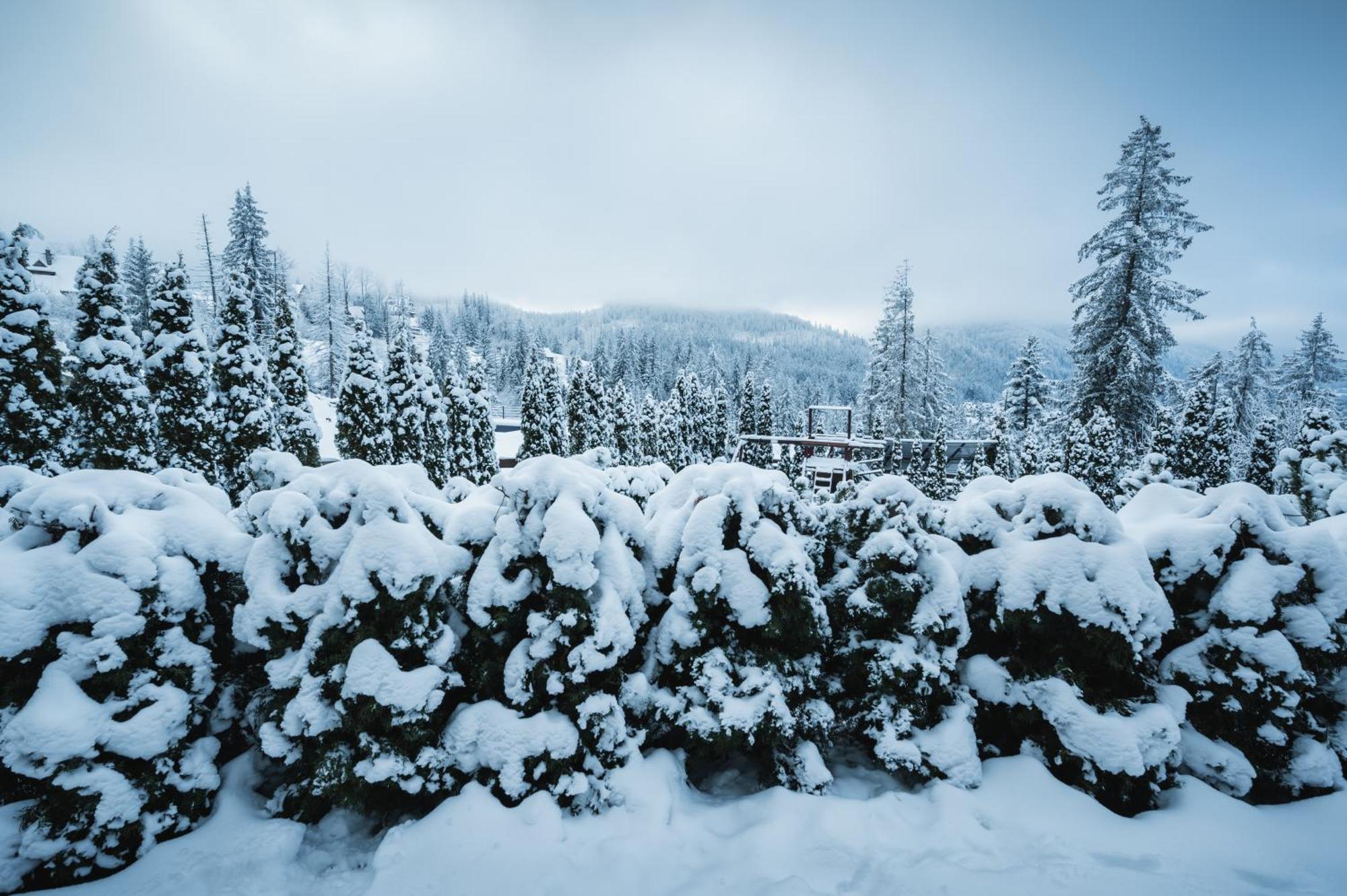 Visitzakopane - Janosik Apartment Экстерьер фото