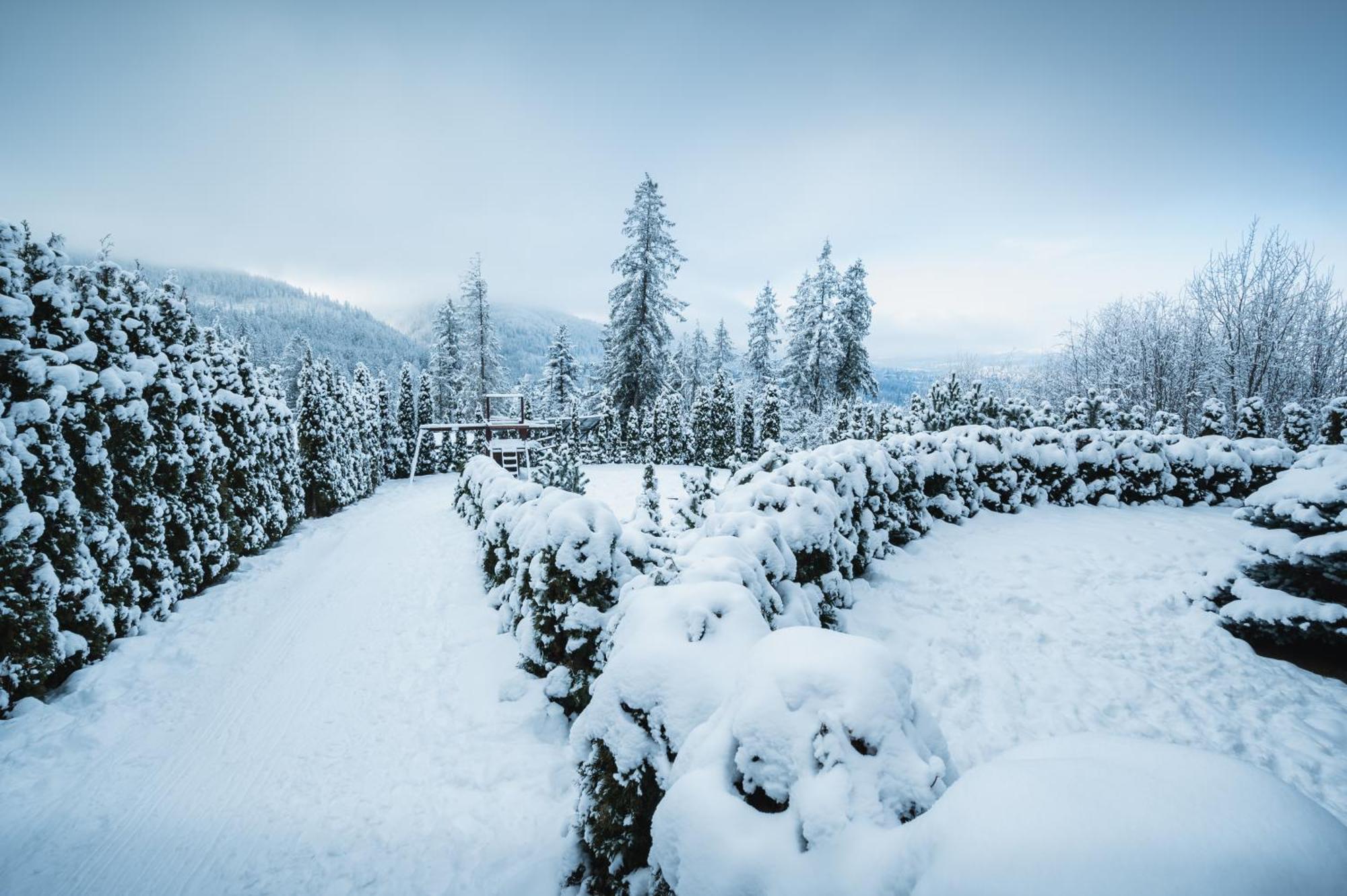 Visitzakopane - Janosik Apartment Экстерьер фото
